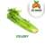 Celery